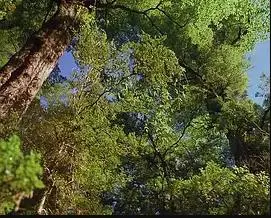 《最后的伊甸园》：学园偶像的闪耀与迷茫，青春残酷下的成长蜕变