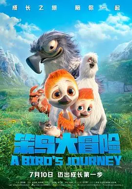 《笨鸟大冒险》：笑泪齐飞的成长之旅，笨鸟也能变雄鹰！