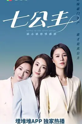 七公主粤语版 海报