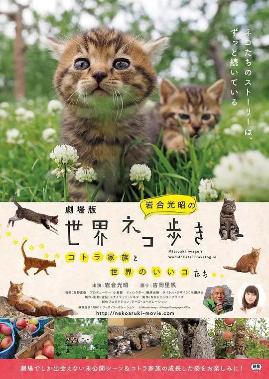 《捉喵记》：武侠片还是“猫咪大乱斗”？这“动漫”般的画风绝了！